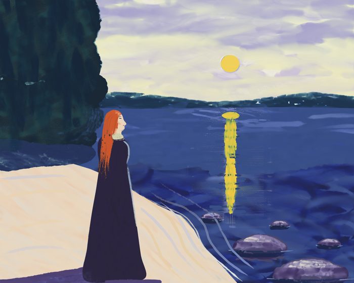 Summer Night, the Shore